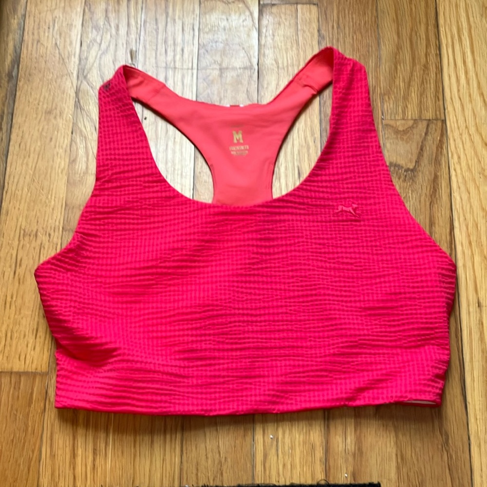 Tracksmith run cannonball run bra (stained)
